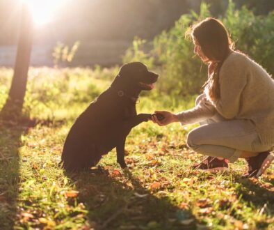 arteverdecor_espaco_pet_place_projetos_02