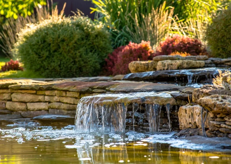 Descubra a diferença entre paisagismo e jardinagem