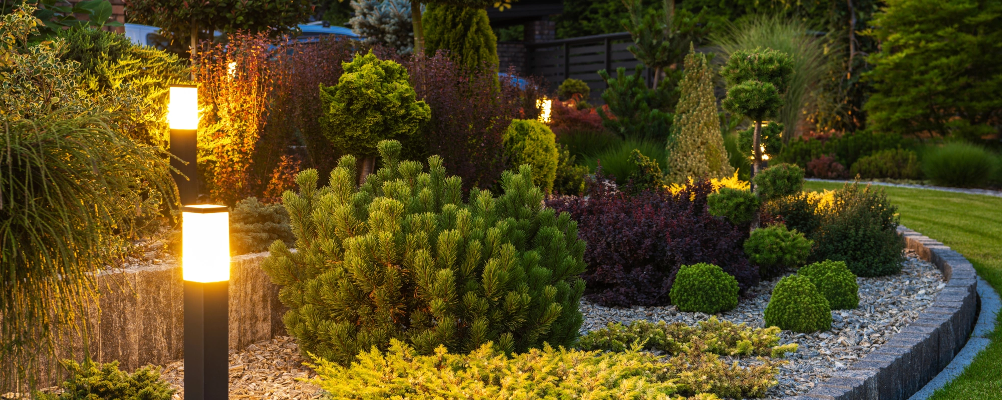 jardim iluminado à noite, exemplo de paisagismo