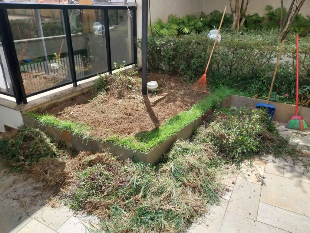Projeto de jardins: Limpeza e preparação do jardim para implantação e execução