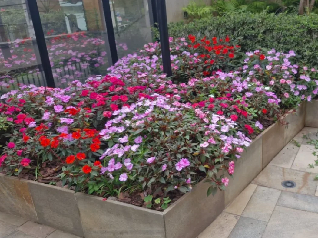 execução de jardins