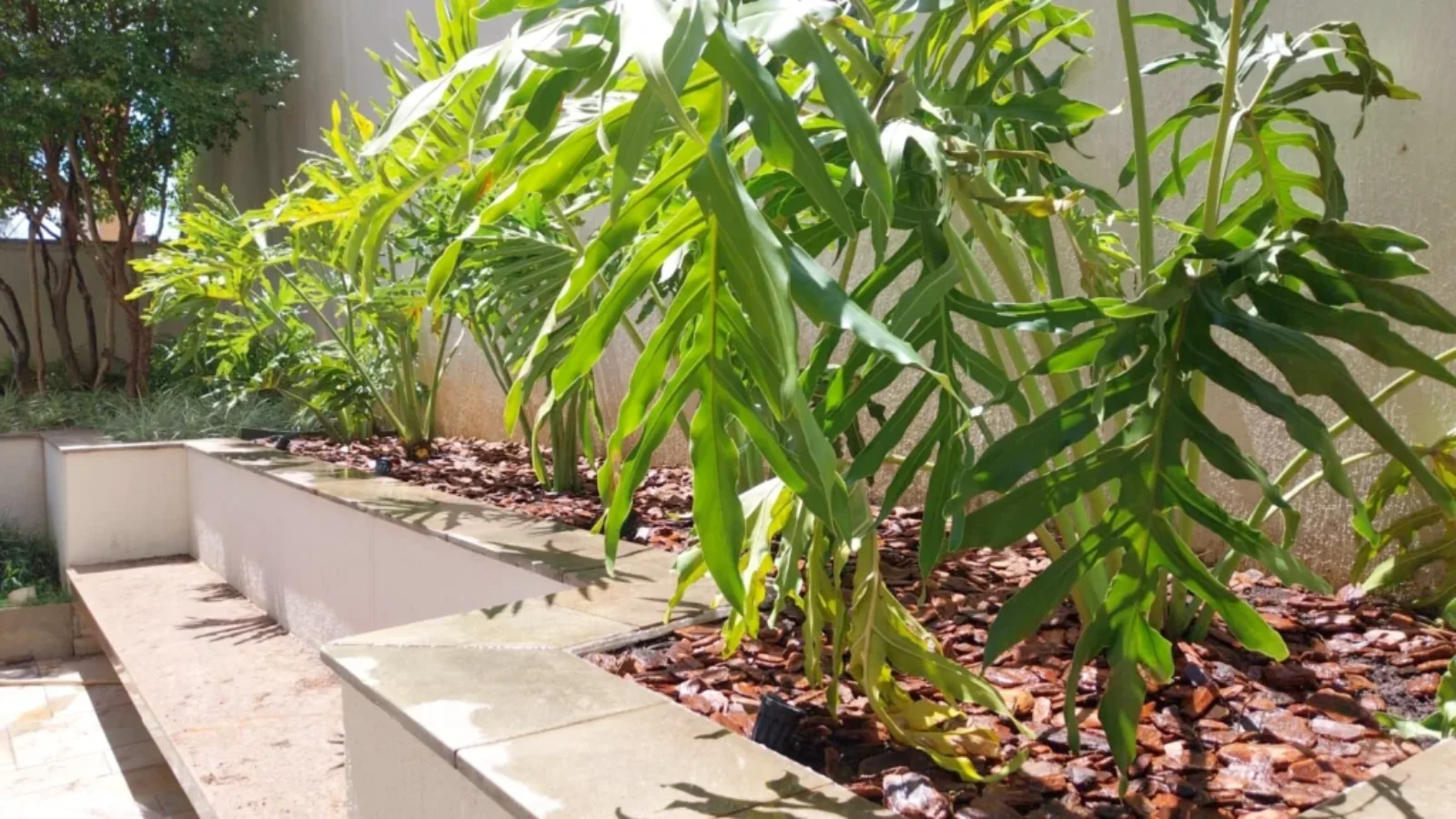 serviços de paisagismo em São Paulo