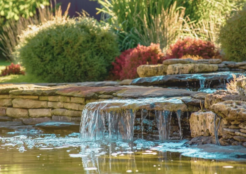 Descubra a diferença entre paisagismo e jardinagem